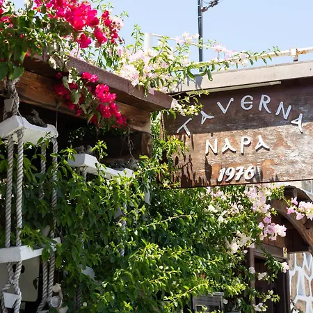 Napa Heights